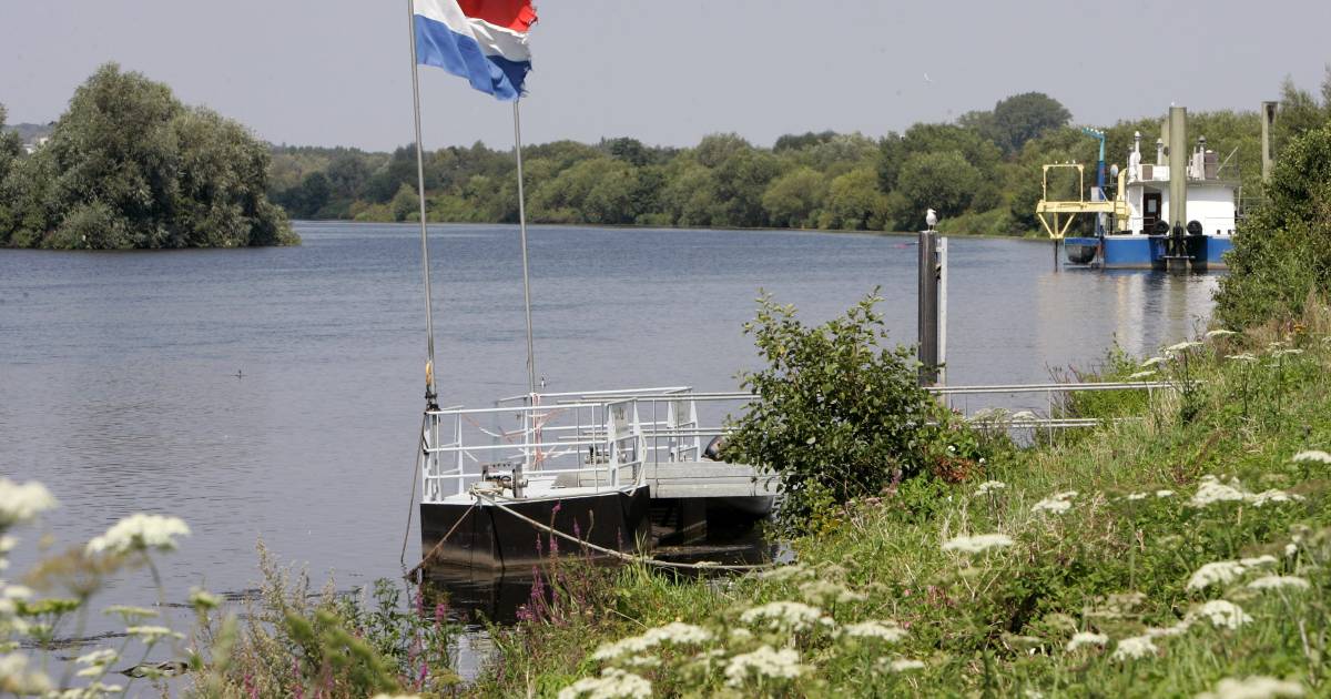 Un homme en train de se noyer retrouvé mort dans la Meuse près de Grubbenvorst |  Intérieur