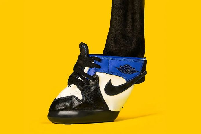 reflecteren Mortal troon Van Nike tot New Balance: Horse Kicks pakt uit met sneakers voor paarden |  Het leukste van het web | hln.be
