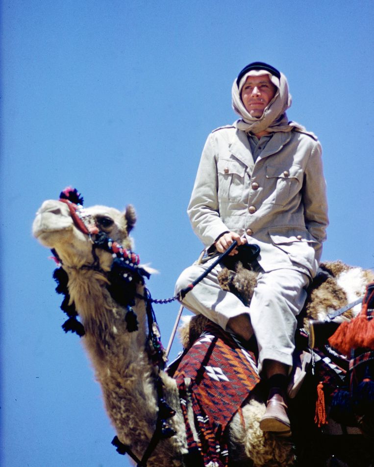 O'Tool in 'Lawrence of Arabia' (1962). Beeld GETTY