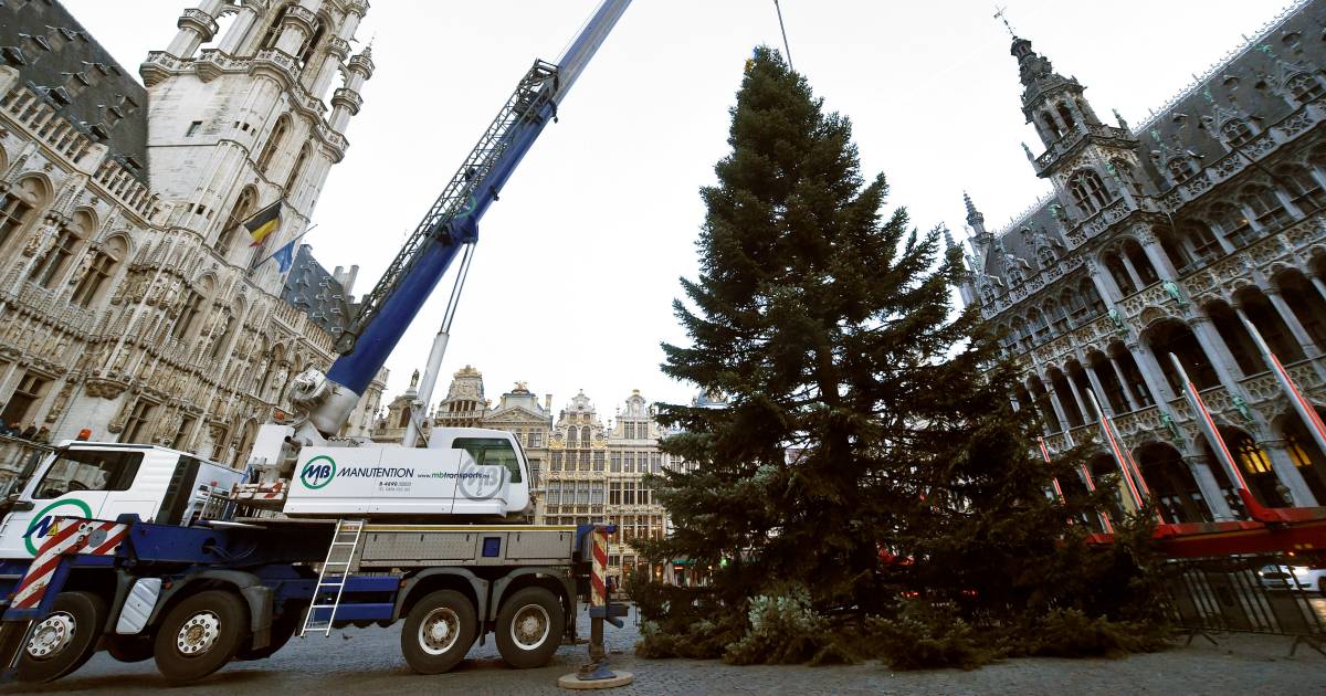 Le Sapin De Grand Place De Bruxelles Est Liegeois Liege Et Sa Region 7sur7 Be