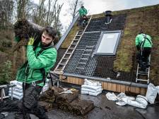 Bijna ieder dak is geschikt en je kunt het vaak zelf: in vijf stappen naar een groen dak