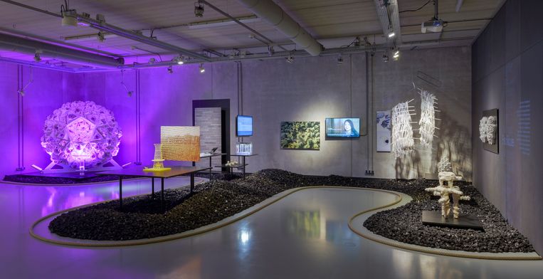 Expositieruimte van Nature in het Cube-museum in Kerkrade. Beeld Cube designmuseum