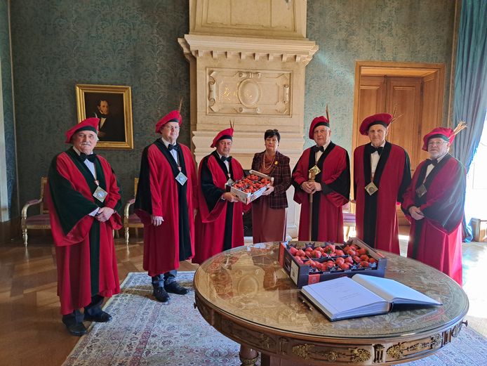 De Ghesellen van de Aardbei trokken opnieuw naar Brussel om de eerste aardbeien naar de koning te brengen.