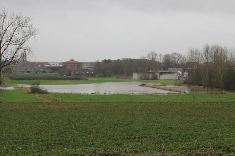 Op verschillende plaatsen in Ronse staat het water hoog. Beeld Lieke D'hondt