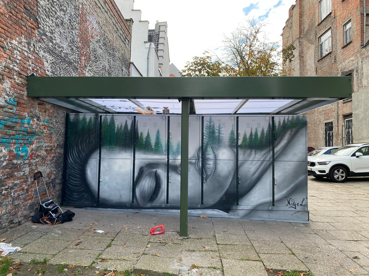 Lockers voor daklozen aan Baudelopark zijn nu ook een beetje kunst ...