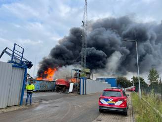 Foto's en video | Metershoge vlammen en rookwolk van brand bij AVI Den Bosch in wijde omgeving te zien