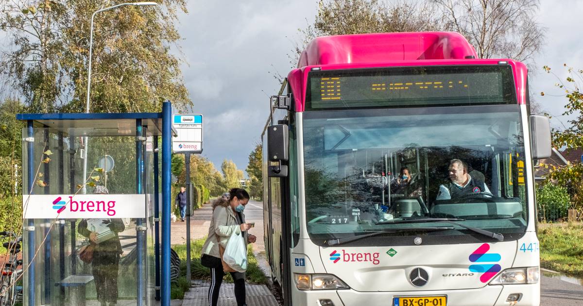 klep bundel Dochter Staking legt mogelijk groot deel busvervoer lam: 'Verkeersleiders Arriva  leggen werk neer' | Nijmegen | gelderlander.nl