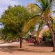 Schitterend Senegal: 9-daags all-inclusive arrangement vanaf € 749 p.p.