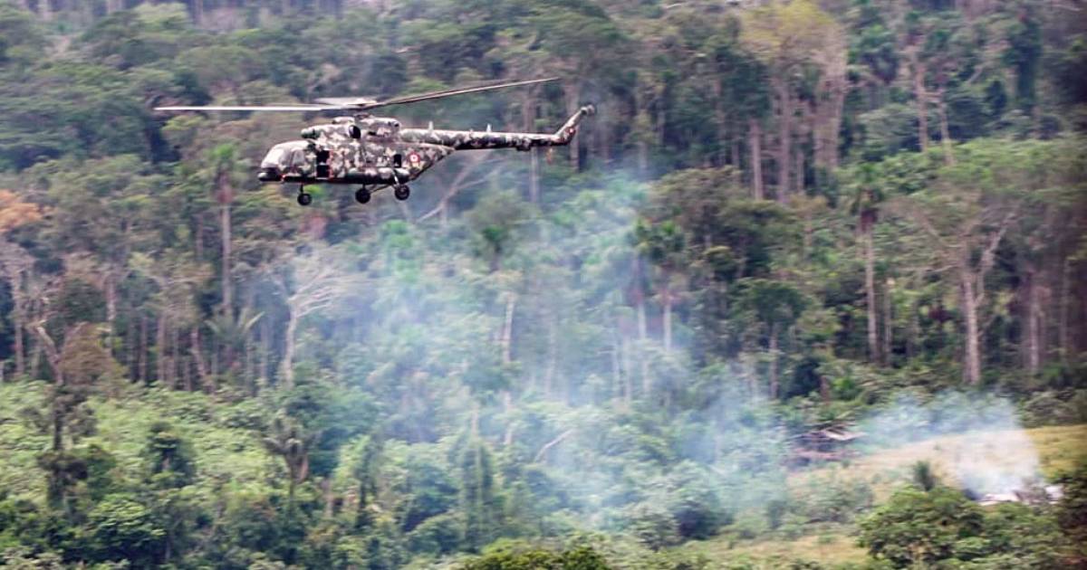 14 morti in un attacco armato in Perù, nella regione in cui si coltiva la coca |  all’estero