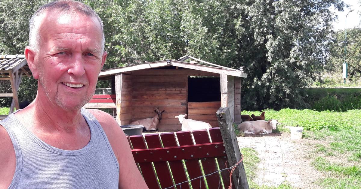 Horror op kinderboerderij: konijnen met bruut geweld doodgeslagen, kippen gestolen