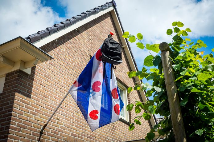 Friese vlag.