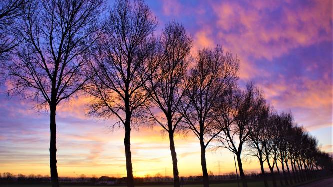 Morgenrood in 's-Heerenhoek