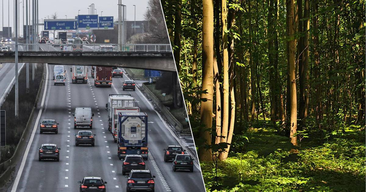 Man from Machelen Faces Prison Sentence for Exhibitionism: Caught Masturbating While Driving and Naked in Forest