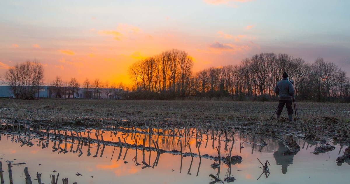 Weerfoto’s van Ab uit Buurmalsen halen wekelijks het achtuurjournaal | West Betuwe