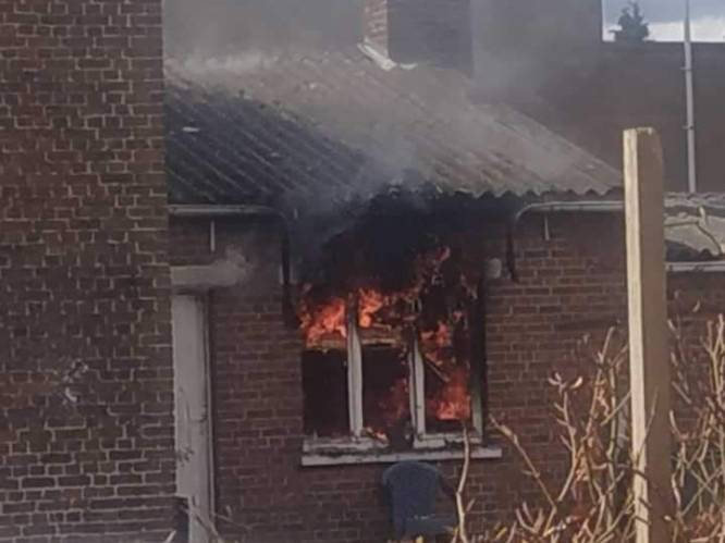Brand in Maasmechelen onder controle: “Geen gevaar voor omwonenden”