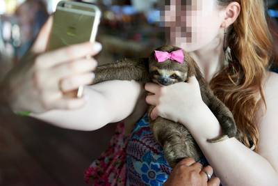 Wilde dieren lijden onder selfiegekte van vakantiegangers