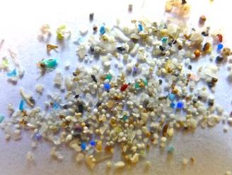 Hoogste concentratie microplastic op zeebodem tot nu toe gemeten: 1,9 miljoen plasticdeeltjes per vierkante kilometer