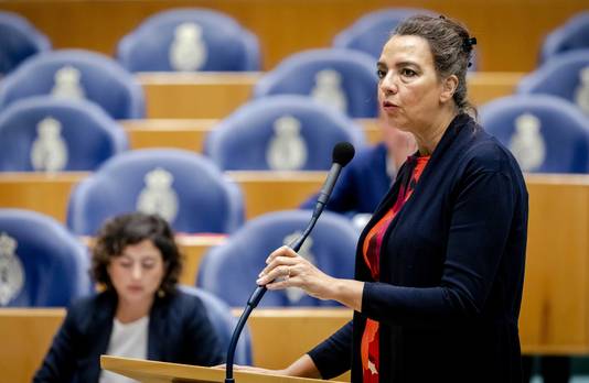 Isabelle Diks (GroenLinks) ontving tot voor kort ruim 7000 euro wachtgeld per jaar, bovenop haar salaris als Kamerlid.
