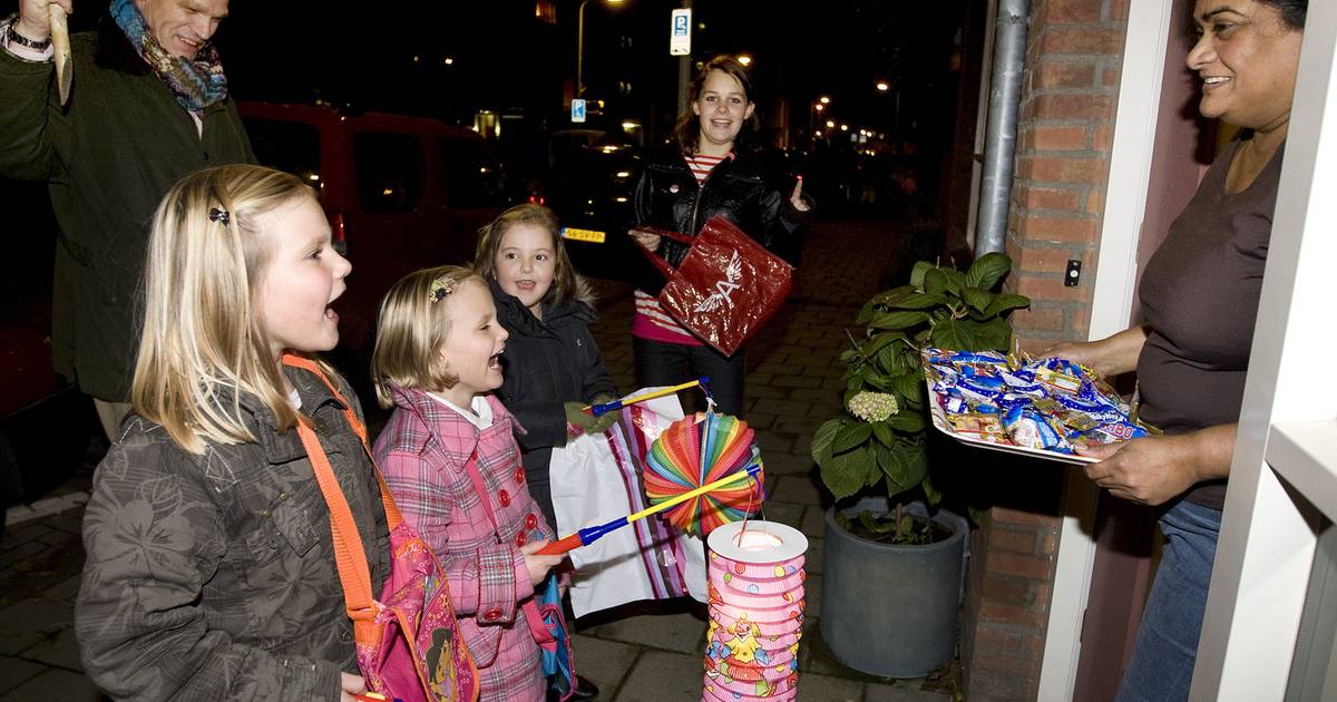 De koeien hebben staarten wat je moet weten over Sint Maarten Binnenland AD.nl