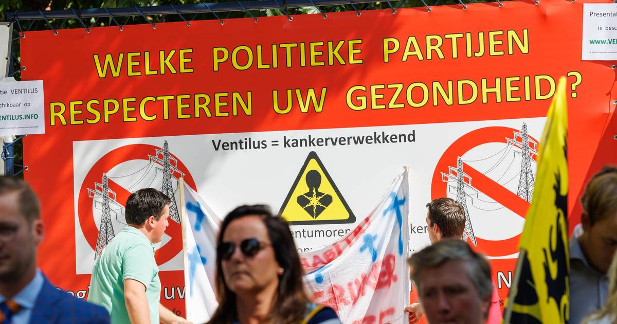 www.hln.be