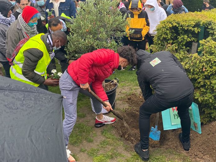 Als symbool van steun aan de gesneuvelde Palestijnen werd aan het einde van de actie een olijfboom geplant in de Putterijsquare.