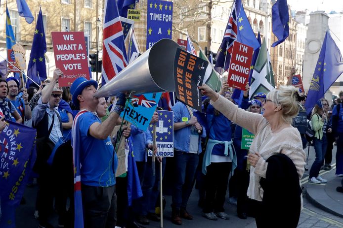 Voor- en tegenstanders van de brexit. AP Photo/Matt Dunham