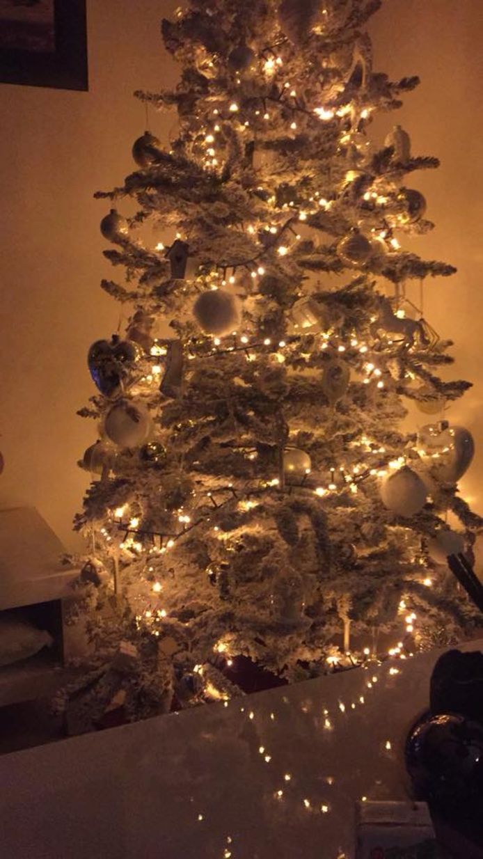 Christel Schutte is er ook vroeg bij. Zij stuurde ook een foto van haar kerstboom in.