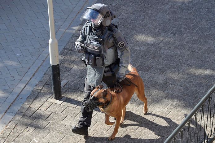 Arrestatieteam valt Bredaas huis binnen. Het vermoeden was dat daar een man met mogelijk een vuurwapen verstopt zat.