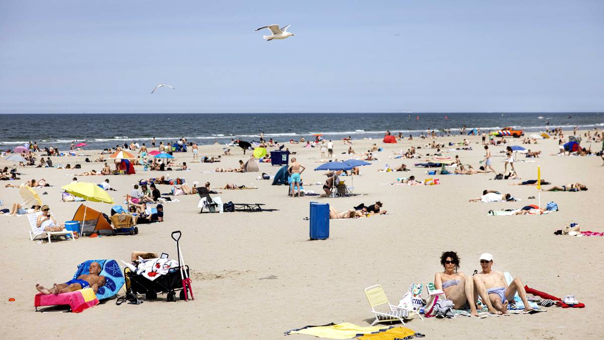 Masturberende man valt vrouwen lastig op strand, politie arresteert hem na  twee uur | Binnenland | destentor.nl