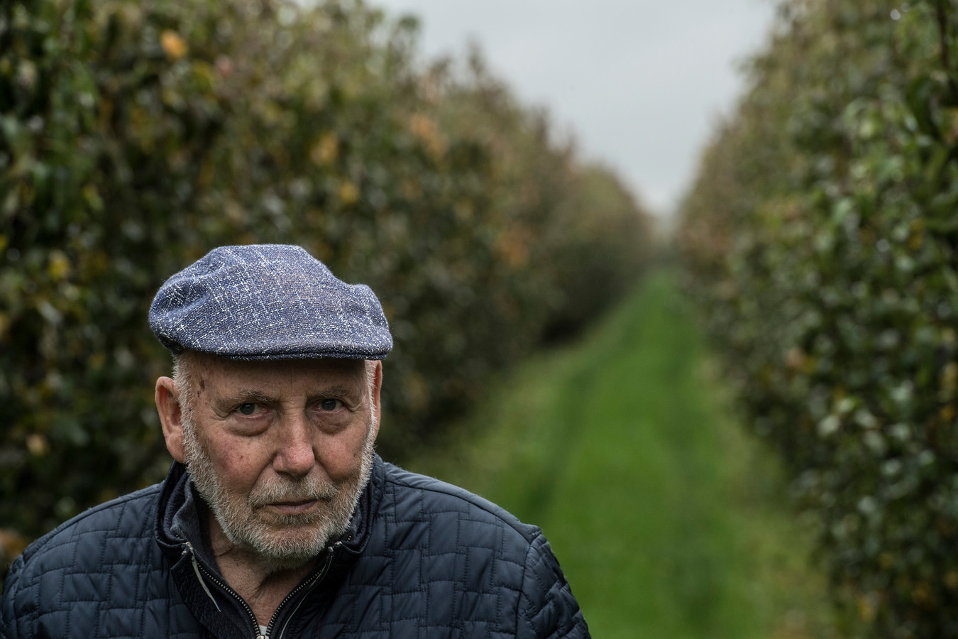 Parkinson grijpt om zich heen in de Betuwe: ‘Wat we hier zien, is geen ...