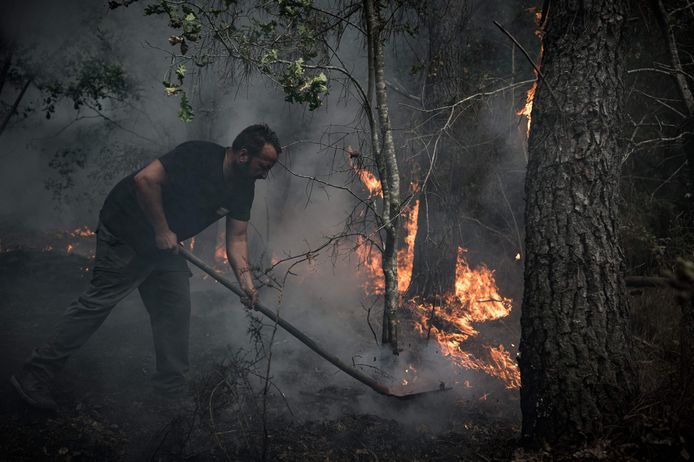Onder meer de talrijke bosbranden zijn een gevolg van de klimaatverandering (illustratiebeeld).
