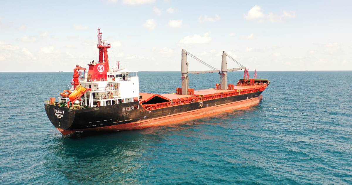 Dopo l’affare del grano: la prima nave arriva in Ucraina per raccogliere il raccolto |  All’estero