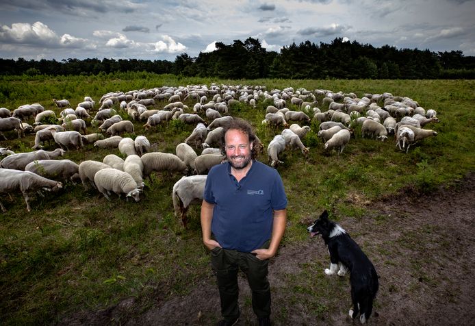 Bart van Ekkendonk bij zijn kudde schapen in natuurgebied De Plateaux.