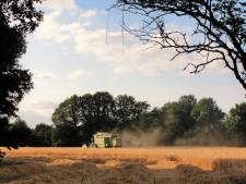 Vanwege verduurzamingseisen zaaien boeren steeds meer granen ter vervanging van krachtvoer