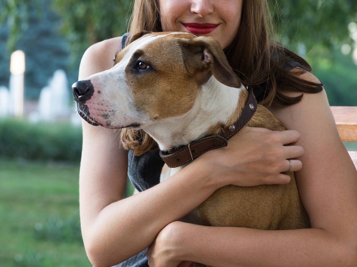 “Amie des animaux”, elle couchait avec ses protégés | Faits divers |  7sur7.be