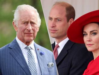 “Prinses Kate moet onder immense druk hebben gestaan”: kankerdiagnose maakt Brits koningshuis kwetsbaarder dan ooit 