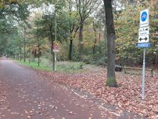Ook politie te paard ingezet tegen straatroven op Reeshofdijk in Tilburg