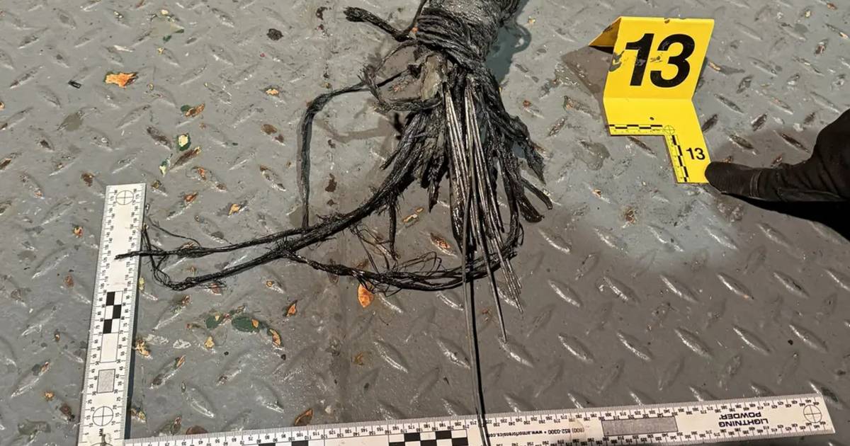Estonia publishes a photo of a damaged data cable in the Baltic Sea |  outside