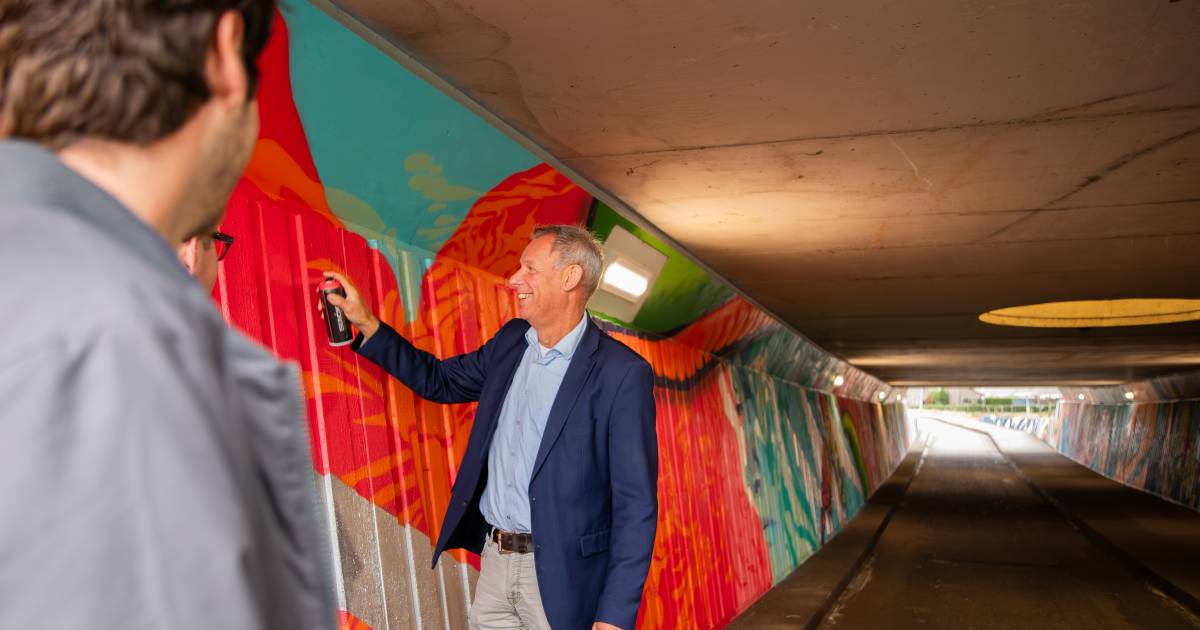 In slakkengang door de Rattengang, want nu is er veel moois te zien in het tunneltje | Hulst