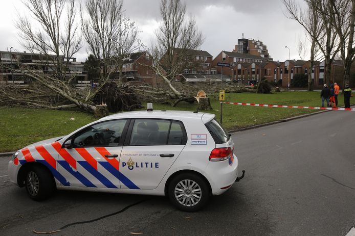 Op het Lunenburgplein in Dordrecht waaiden meerdere bomen om. De politie heeft het plein afgesloten.