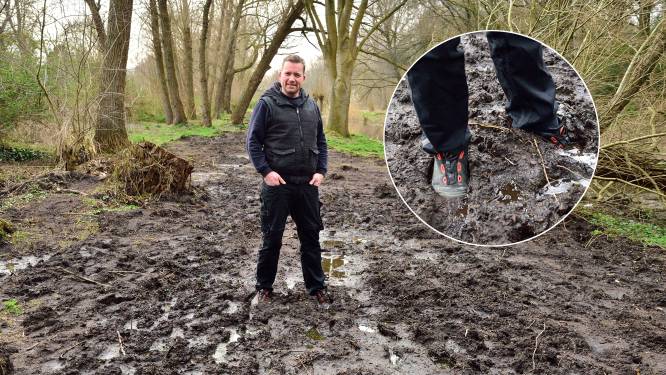 Chris zakt tot zijn sokken in de blubber: paden in het Noorderhout veranderd in modderpoel