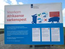 Waarschuwing tegen Afrikaanse varkenspest ook bij Volkel
