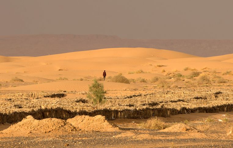 Man in de Sahara. Veel migranten trekken via de woestijn richting Noord-Afrika. Foto midden: Nederlandse militairen in Gao. Beeld AFP