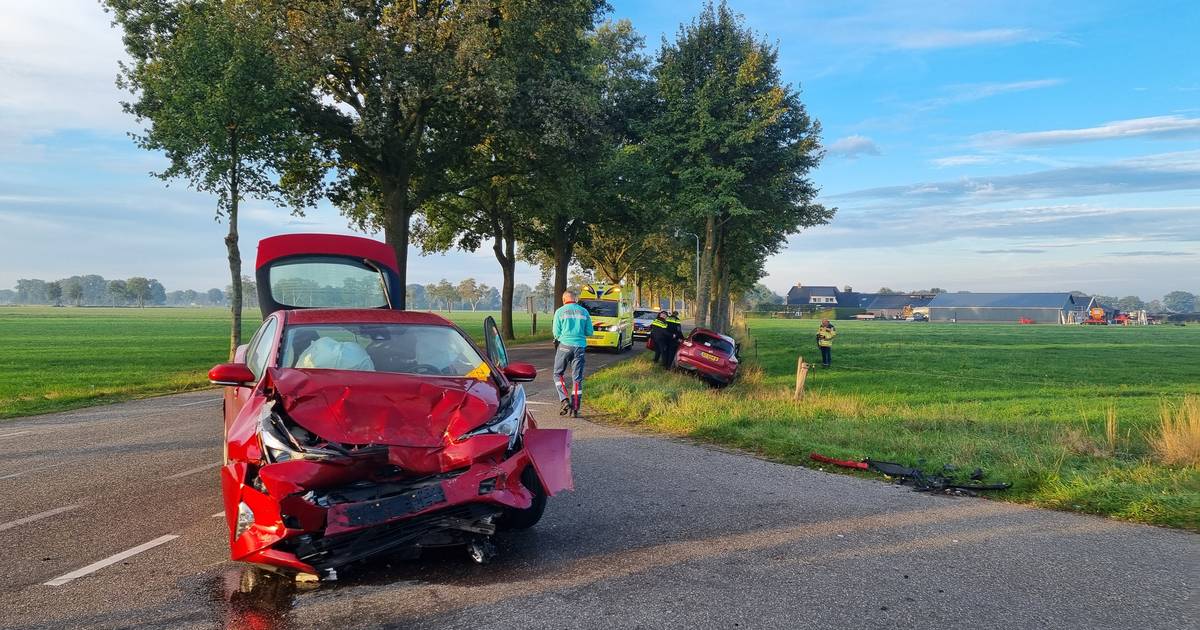 ‘Baasje’ gewond bij botsing in Staphorst, honden ongedeerd.