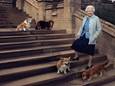 Elizabeth met haar corgi's.