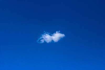 Geregeld zon, maar ook enkele wolken in Roosendaal vandaag