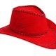 Wie lijmt er cowboyhoedjes op de duiven van Las Vegas?
