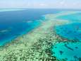 Unesco klasseert Groot Barrièrerif als "in gevaar", Australië niet akkoord