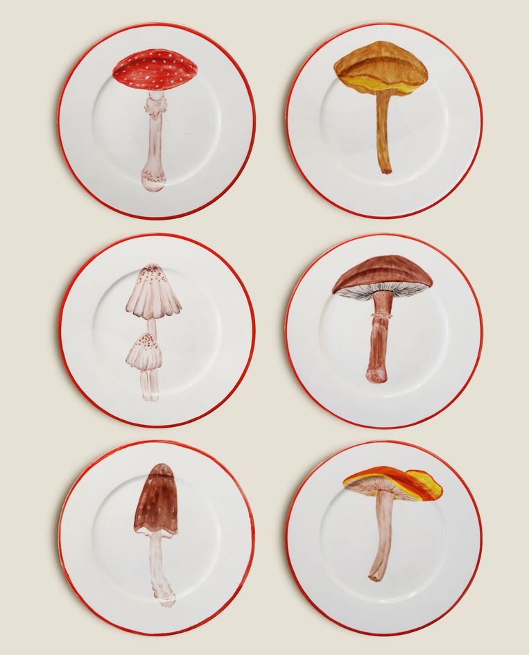 Porseleinen bordencollectie met een divers aanbod aan verschillende handgeschilderde paddestoelen, € 40 per stuk. theplatera.com Beeld 