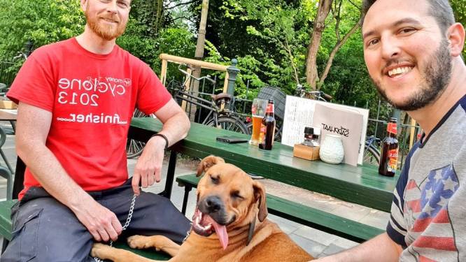Hond Griff is dol op de Amsterdamse metro en is na aandoenlijke video ook geliefd op TikTok 